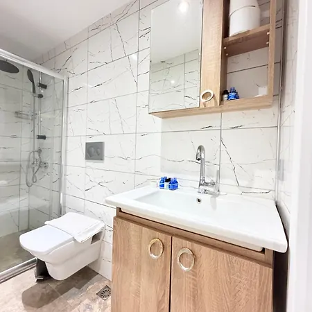 The Blue Mansion Modern Hotel