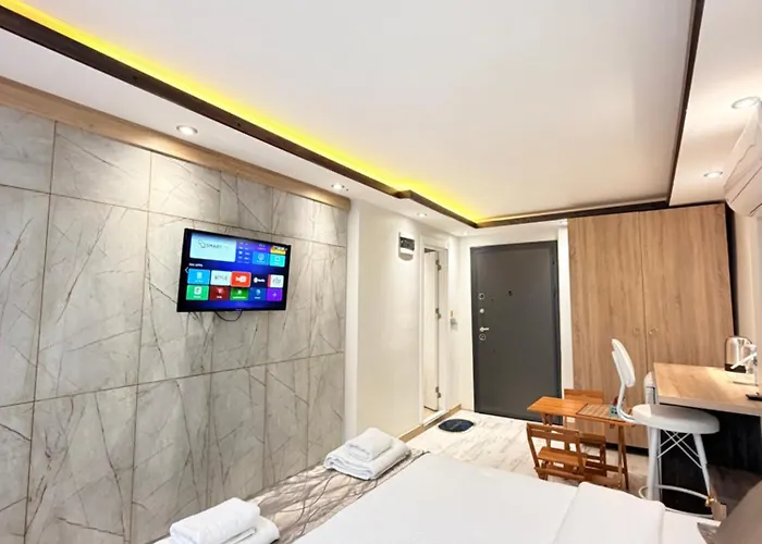 The Blue Mansion Modern Hotel *