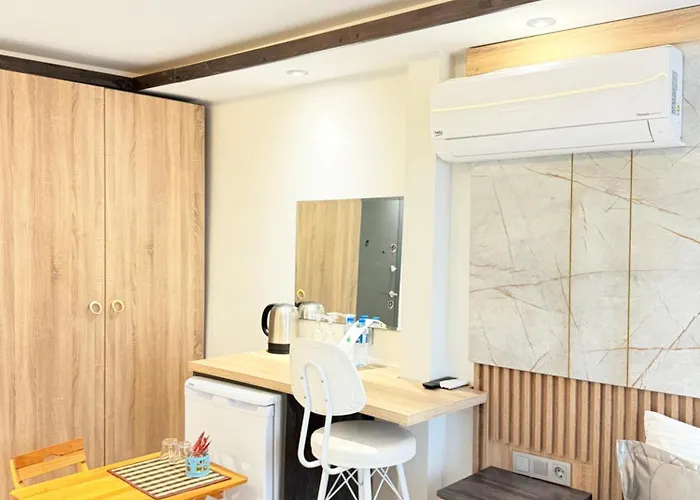 The Blue Mansion Modern